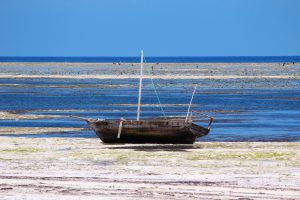 zanzibar13x080_jpg